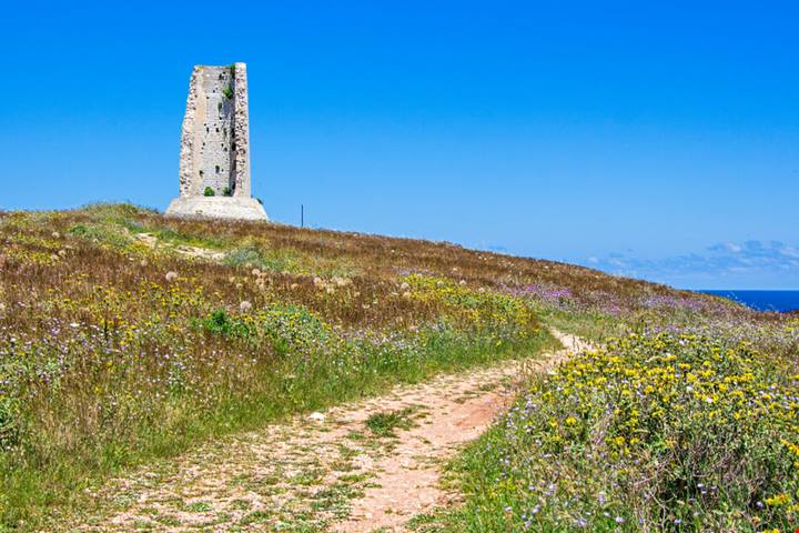 Torri costiere Puglia: ecco dove fare foto | PaesiOnLine